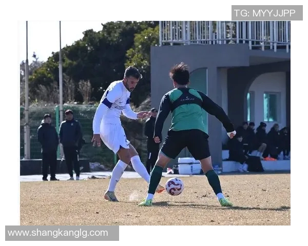 喀麦隆足球明星的辉煌成就与未来发展潜力探讨